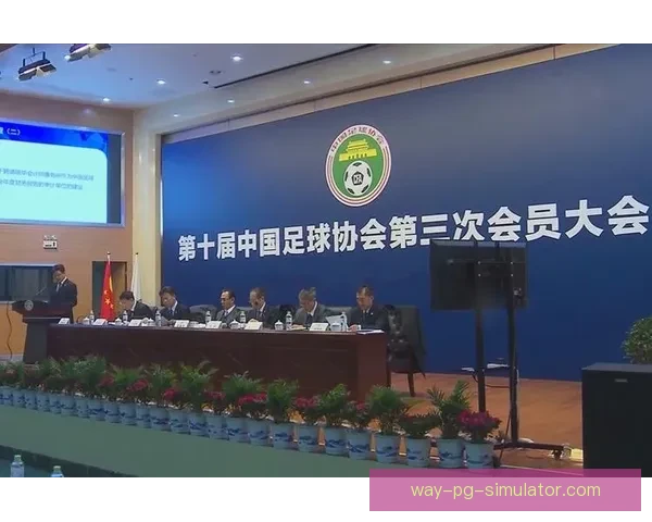中国足协职业联赛财务审计及规范管理研究分析